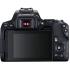 Canon EOS 250D 24.1 MP DSLR Camera w/ EF-S 18-55mm f/3.5-5.6 III Lens - Black