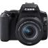 Canon EOS 250D 24.1 MP DSLR Camera w/ EF-S 18-55mm f/3.5-5.6 III Lens - Black
