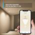 TP-Link Tapo L610 Smart Led Bulbs Dimmable LED Spotlight Bulbs 2700K Warm Light GU10 Lamp Base Remote Control Works with Alexa & Google Home No hub required