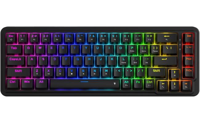 Redragon K709 NOVA 65% Wired Gasket RGB Gaming Keyboard, 68 Keys Hot-Swap Compact Mechanical Keyboard w/Free-Mod Socket, 3-Layer Noise Dampening & Dedicated Arrow Keys, Quiet Custom Linear Switch , Black