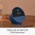 Amazon Echo Spot (2024 release) Smart Alarm Clock With Vibrant Sound + Alexa, Black