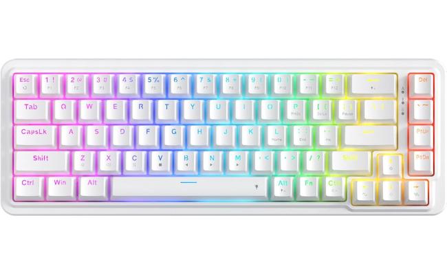 Redragon K709 NOVA 65% Wired Gasket RGB Gaming Keyboard, 68 Keys Hot-Swap Compact Mechanical Keyboard w/Free-Mod Socket, 3-Layer Noise Dampening & Dedicated Arrow Keys, Quiet Custom Linear Switch , White