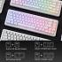 Redragon K709 NOVA 65% Wired Gasket RGB Gaming Keyboard, 68 Keys Hot-Swap Compact Mechanical Keyboard w/Free-Mod Socket, 3-Layer Noise Dampening & Dedicated Arrow Keys, Quiet Custom Linear Switch , White