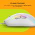 Glorious Gaming - Model D 2 Wired Ergonomic Mouse, Superlight 58g, 26K Optical Sensor, 6 Programmable Buttons, 80 Million Click Lifecycle, FPS, MMO, MOBA, Battle Royale (White)