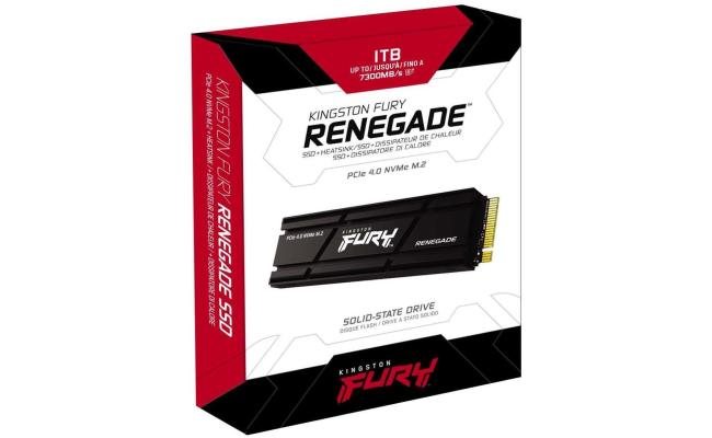 Kingston FURY Renegade 1TB PCIe 4.0 NVMe M.2 SSD up to 7,300MB/s w/ Heatsink & PS5™ Ready